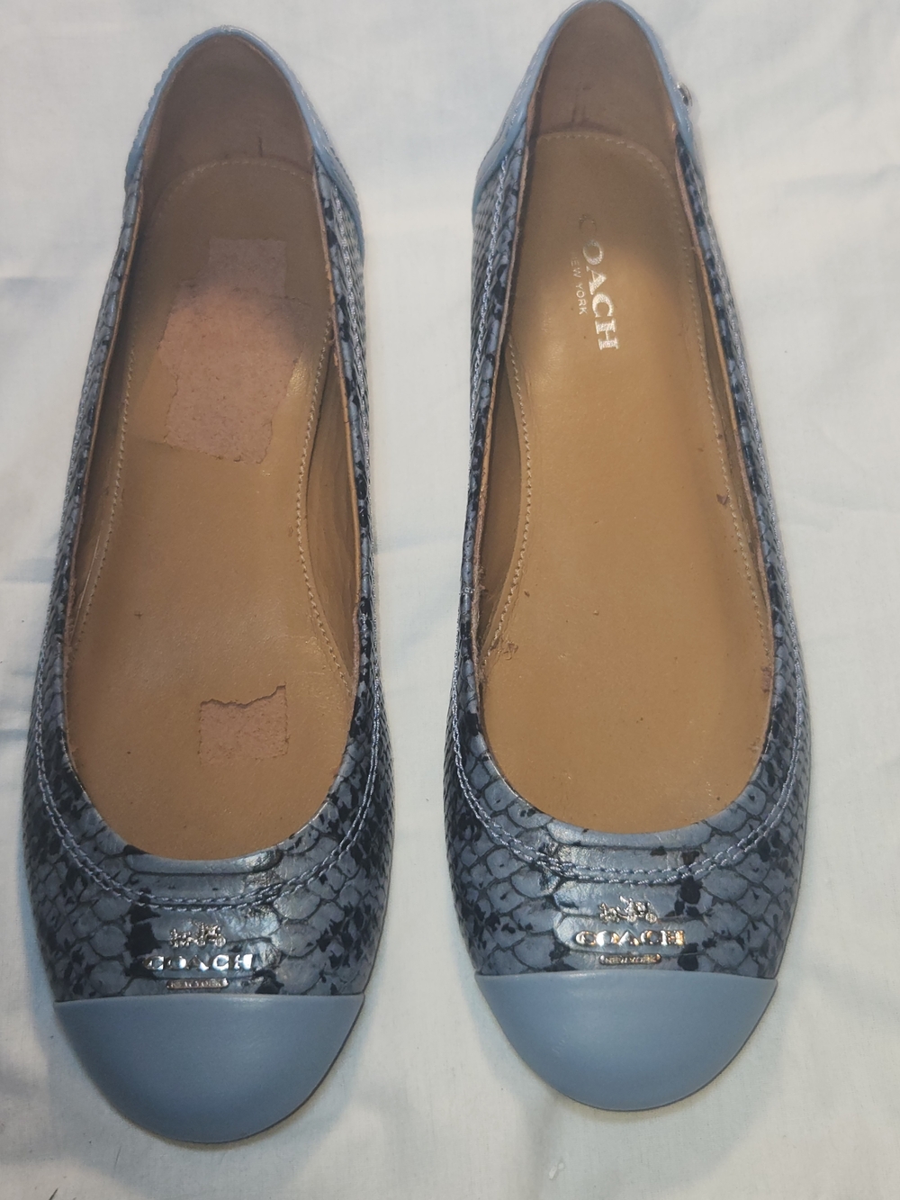 Coach Women's Blue Snake-Print Leather Ballet Flats 5.5